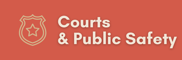 NM Political Report - Courts