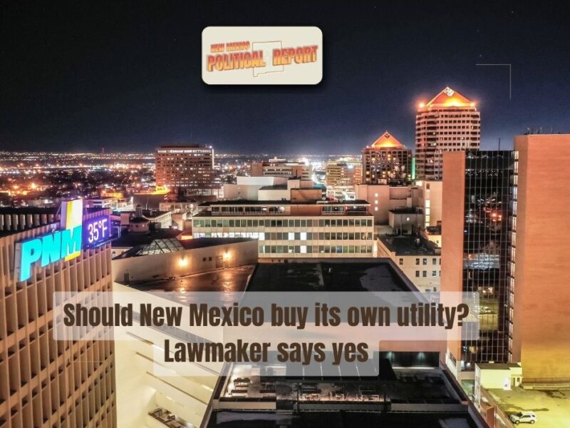 Should New Mexico buy PNM? Lawmaker says yes