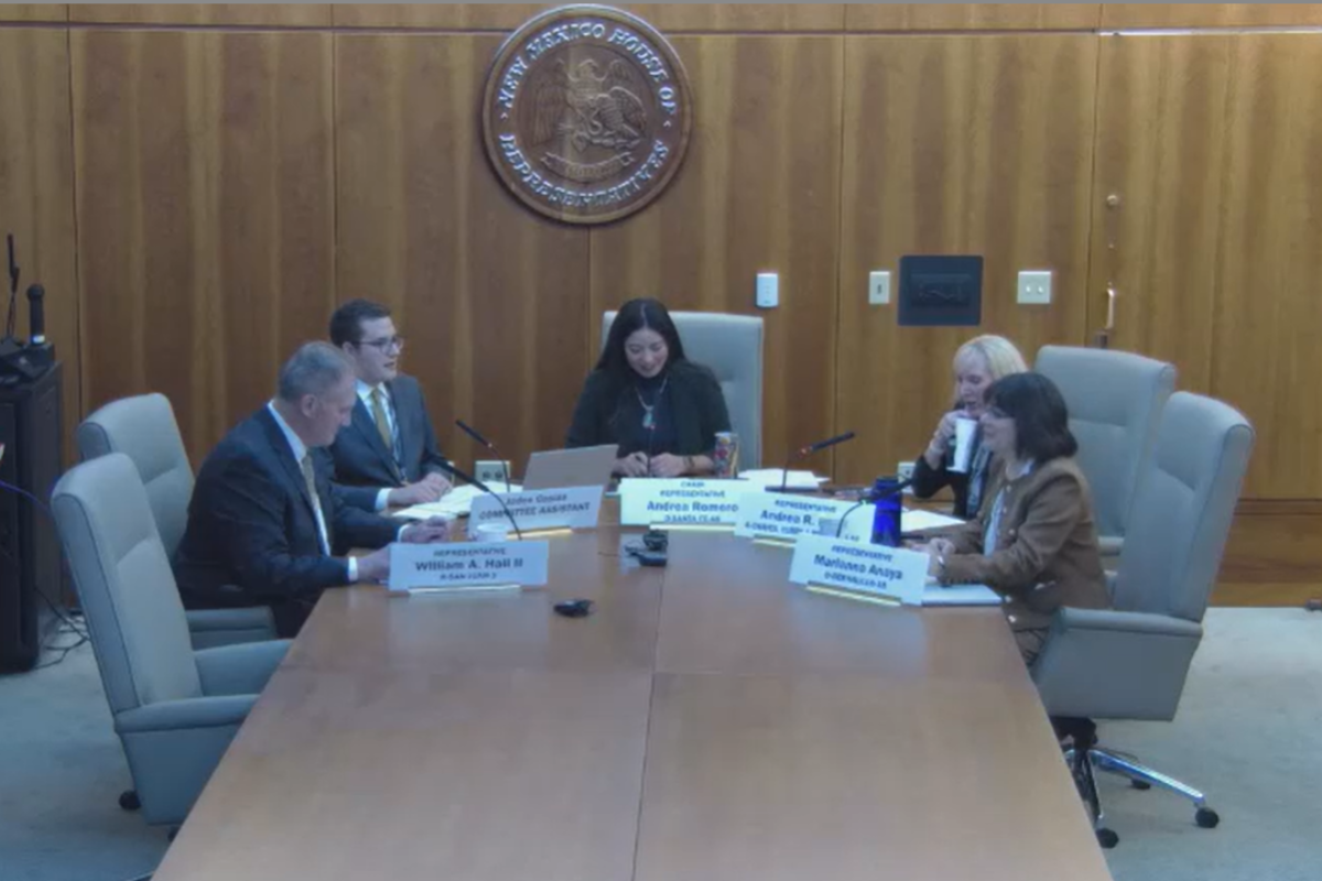 A screengrab from the New Mexico House Truth Commission February meeting.