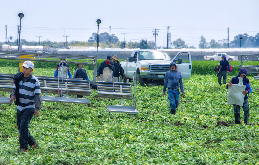 Farmworkers win workers comp protections