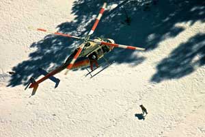 Project personnel attempt to dart and capture a Mexican wolf during the helicopter operation