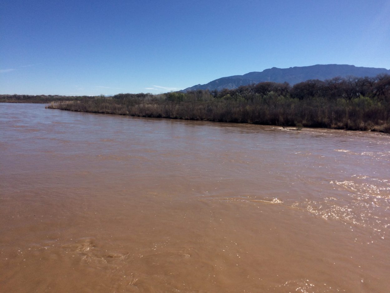 Rio Grande water managers freed up from some ESA constraints