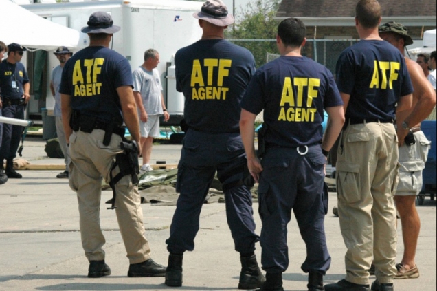 Woman arrested in ATF sting pleads guilty for reduced sentence