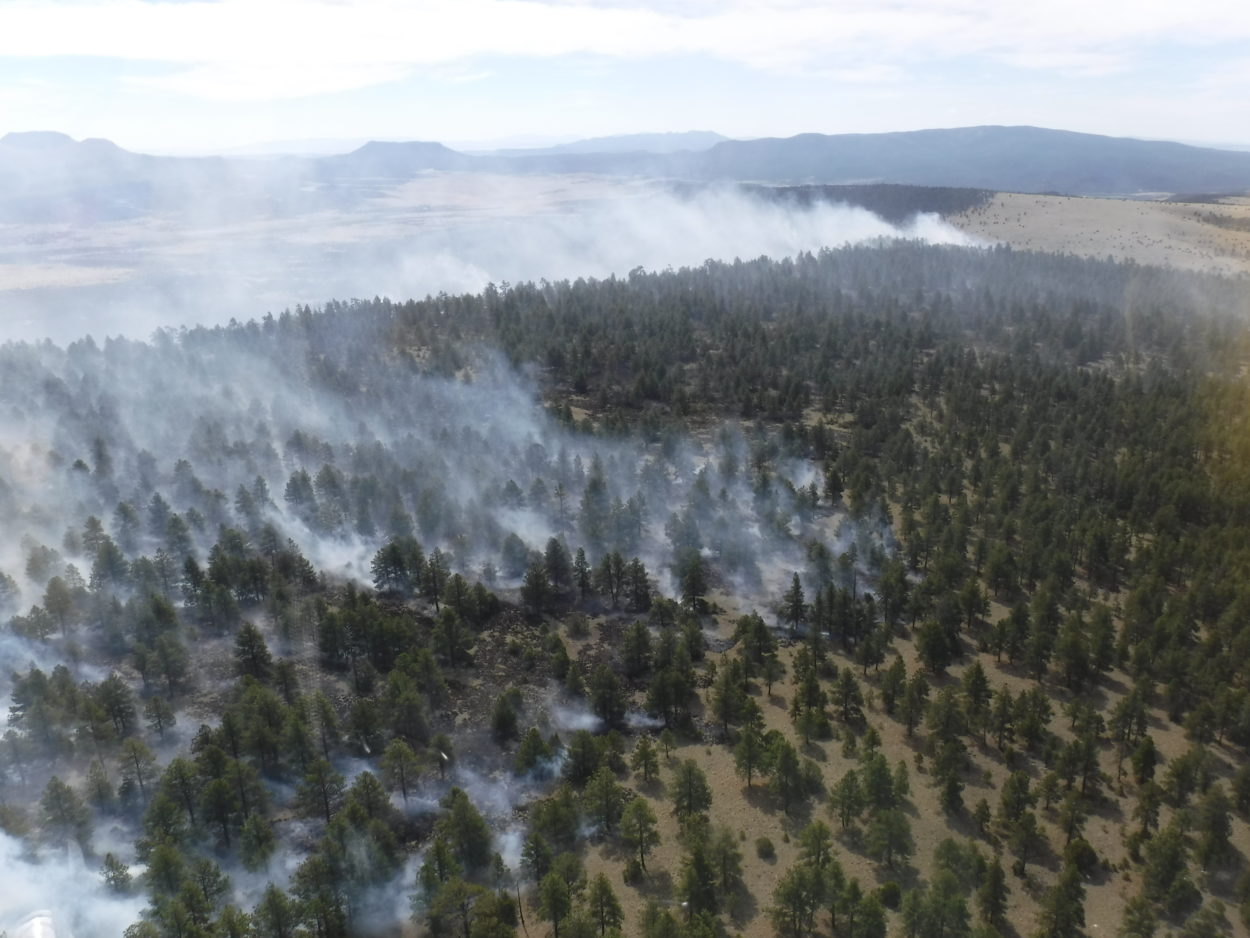 As NM reaches fire season, forest conditions are drying out and heating up