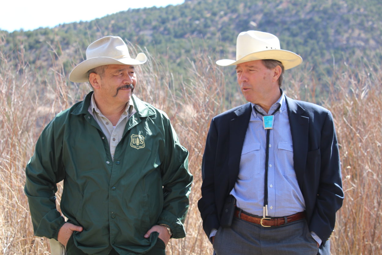 Udall will not run for reelection to U.S. Senate