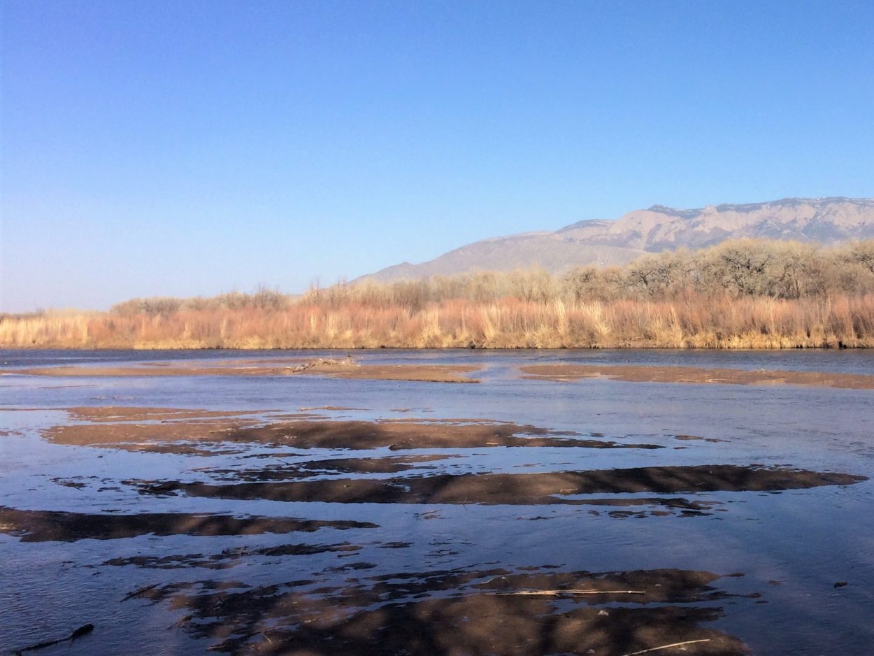 Grim forecast for the Rio Grande has water managers, conservationists concerned