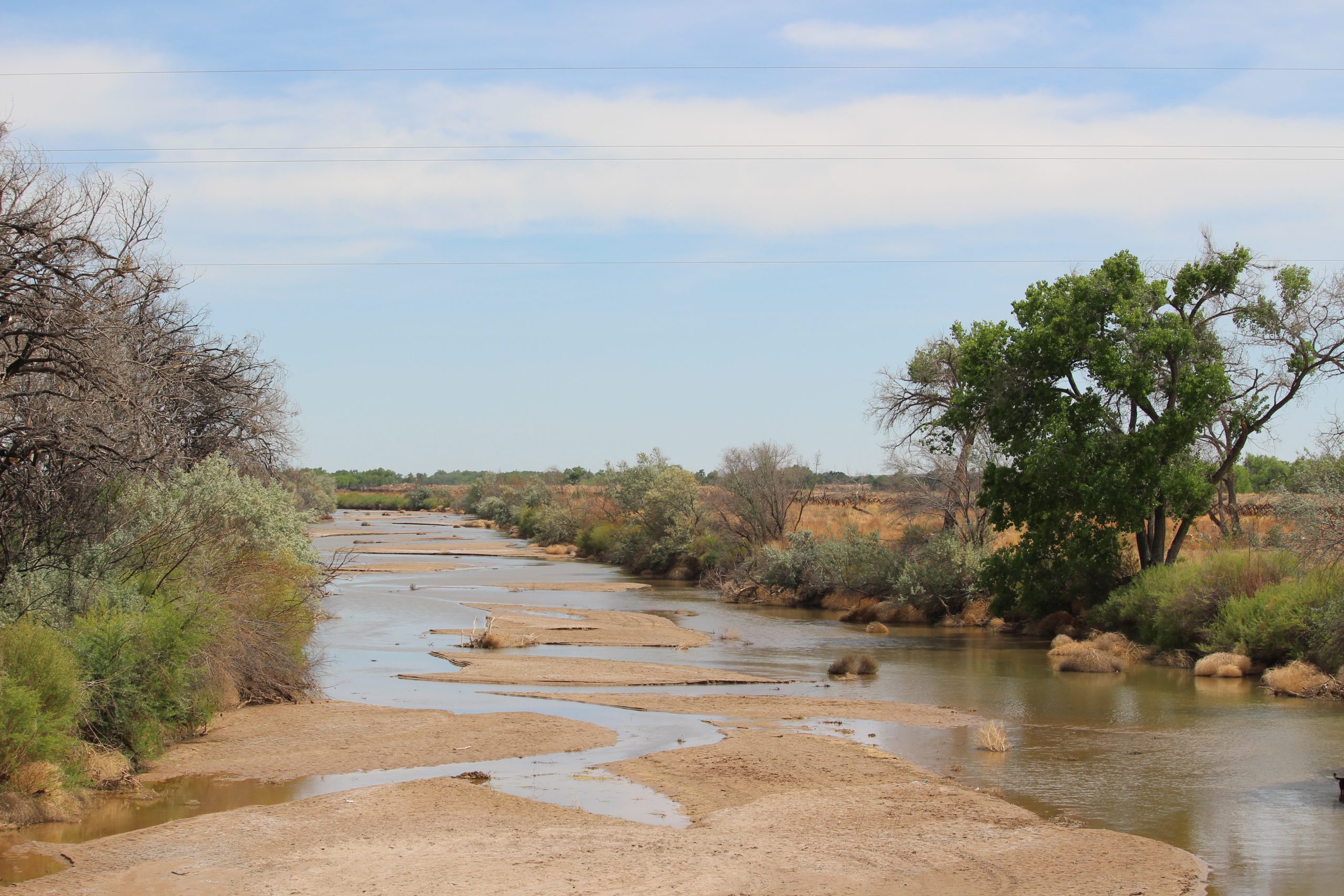 NM Environment Review: Copper Flat permits and temporary waterways