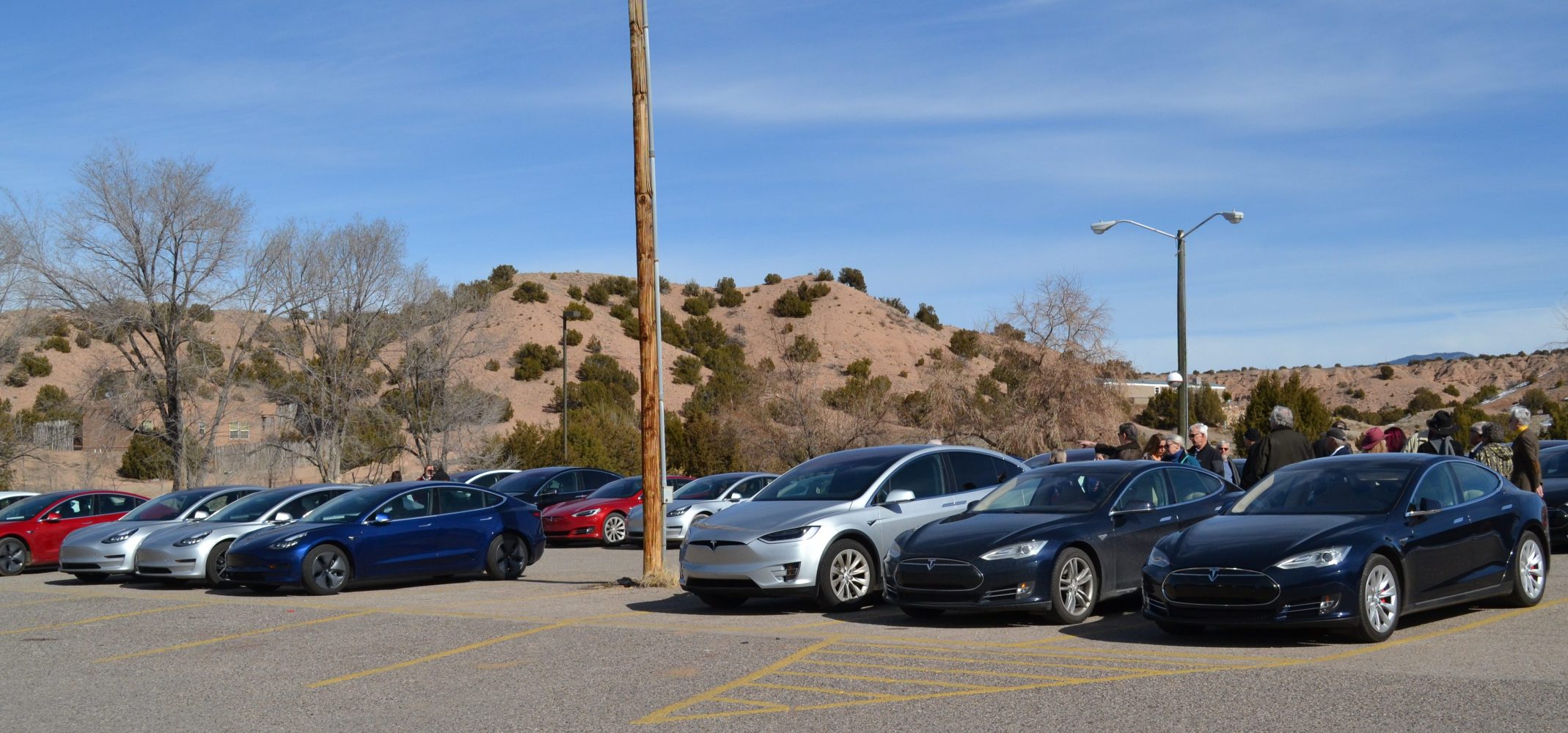 Tesla owners charged up for car sales legislation