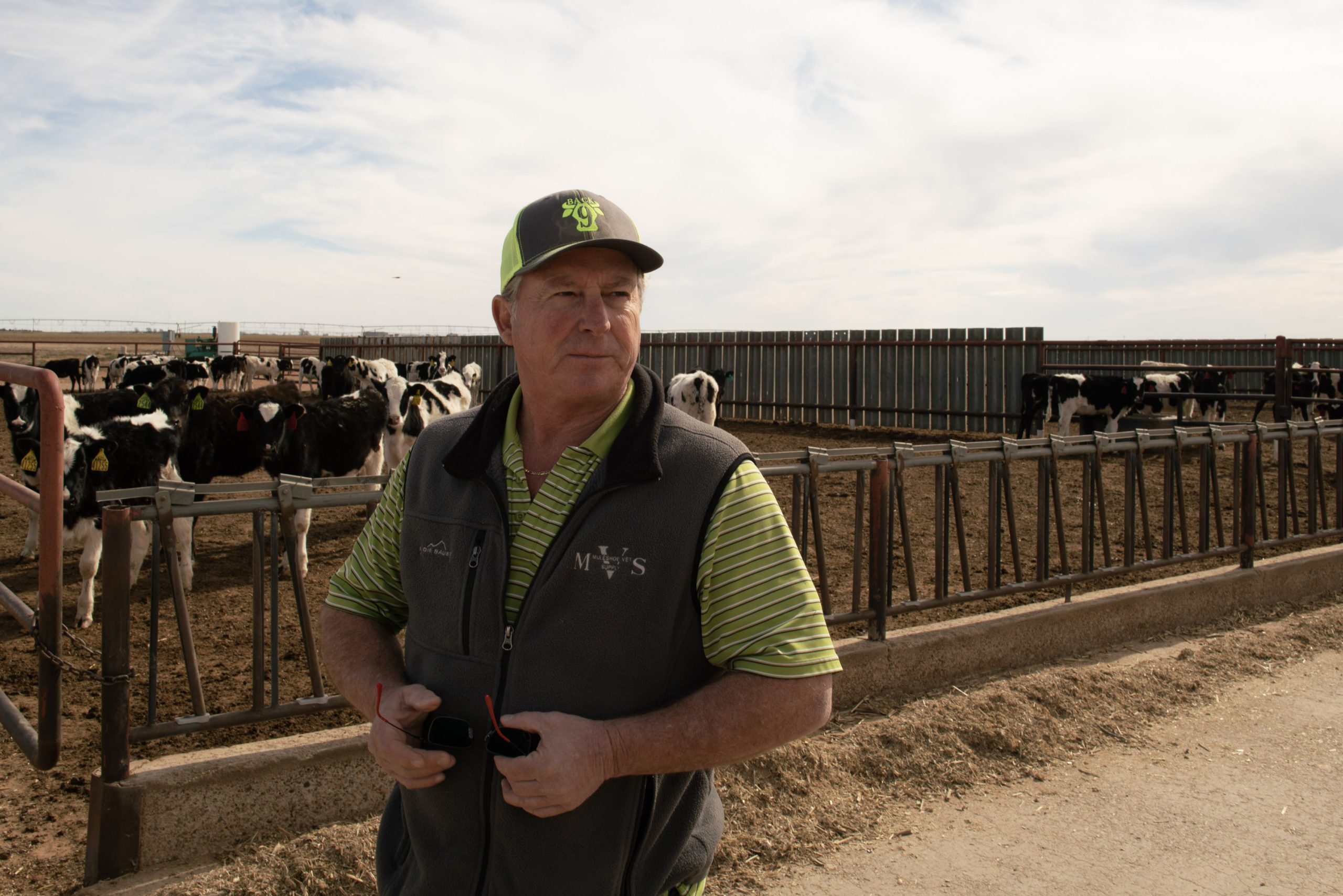 Groundwater contamination devastates a New Mexico dairy – and threatens public health