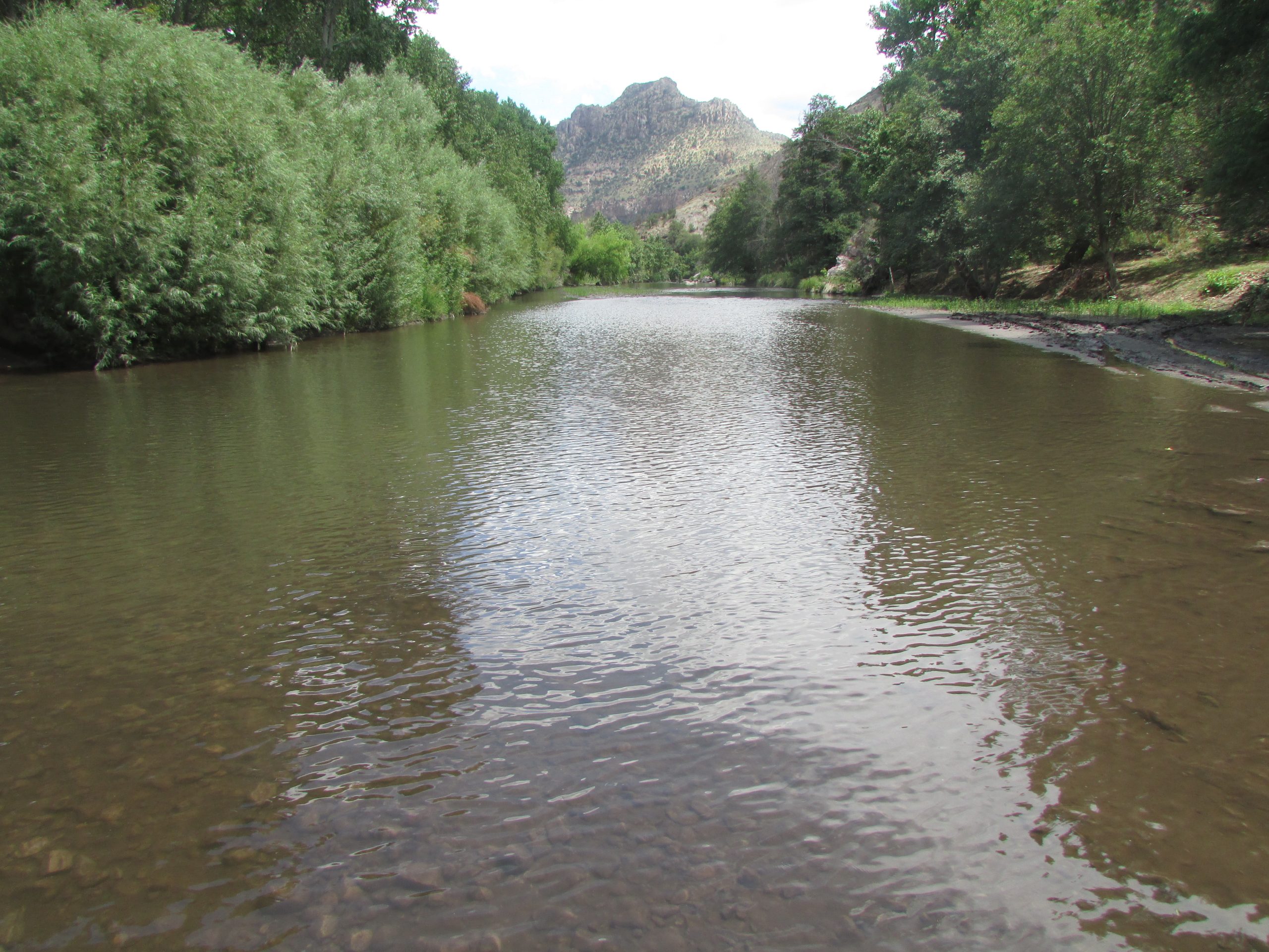 DOI denies funding for Gila River diversion project