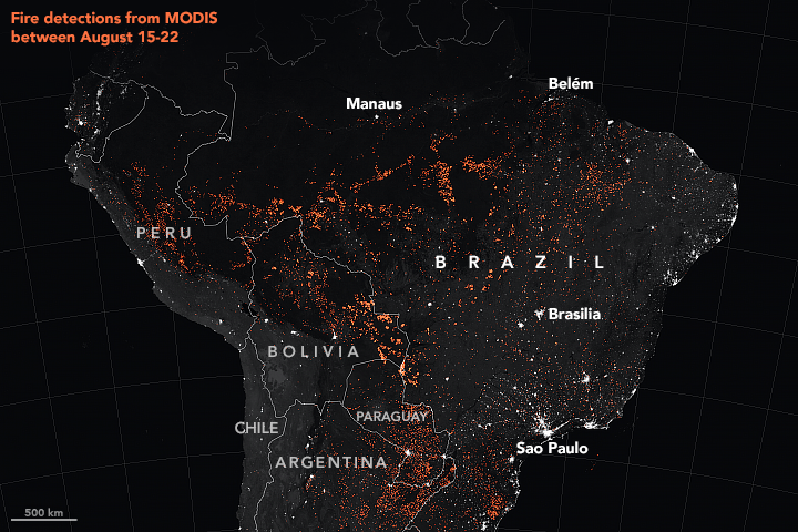 If carbon offsets require forests to stay standing, what happens when the Amazon is on fire?