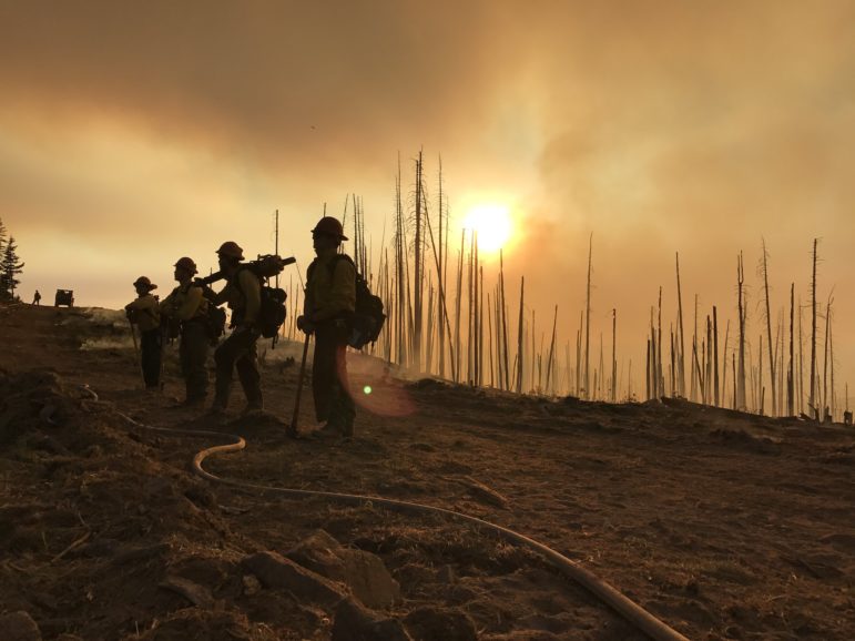 COVID-19 pandemic complicates 2020 wildfire season