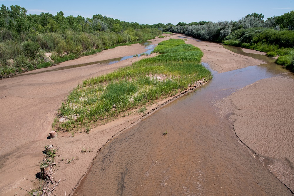 Keeping the river and its ecosystems ‘alive enough’ during dry spells