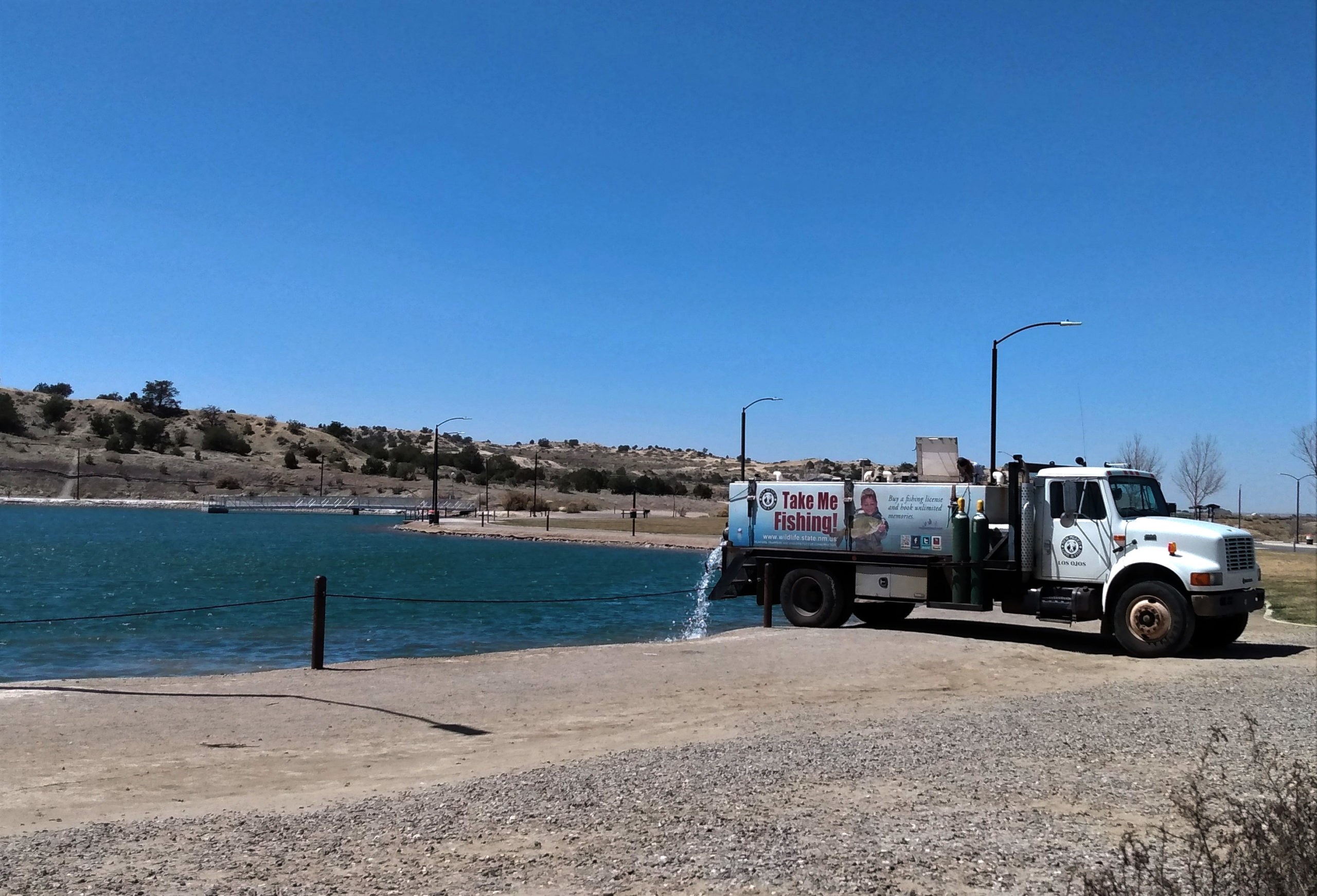 Fisheries rule update may open remote creek for fishing - NM Political  Report
