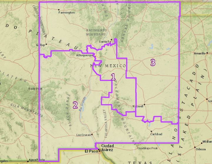 NM Senate committees advance two redistricting maps