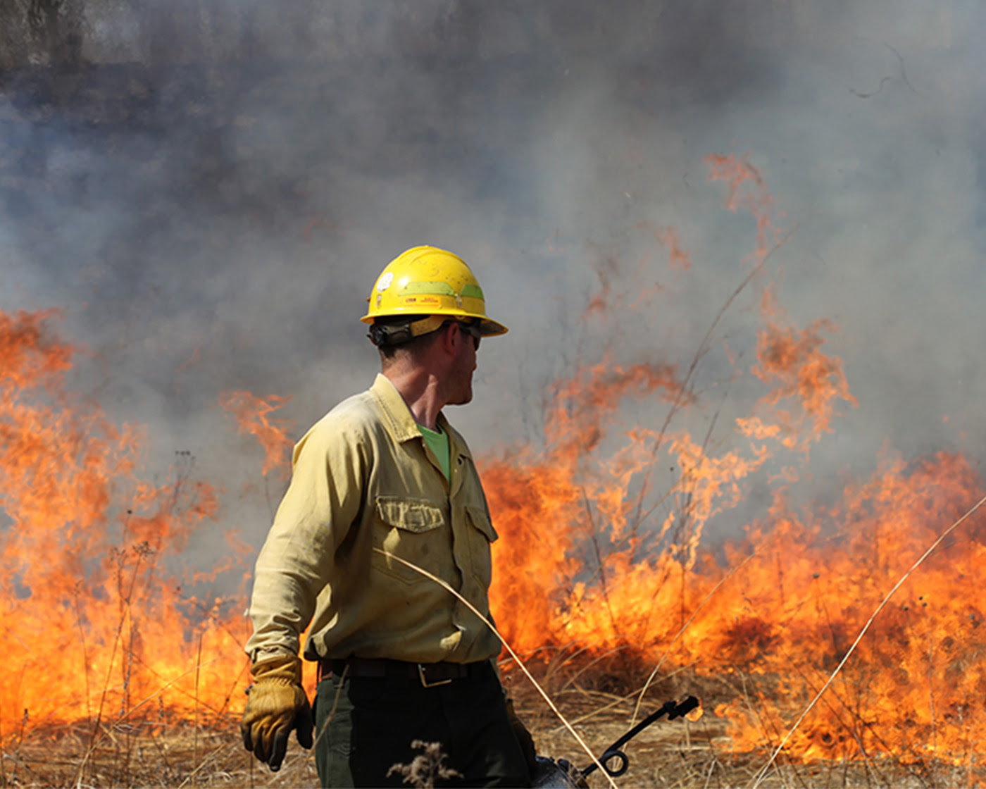 Computer modeling can help prescribed burn decisions