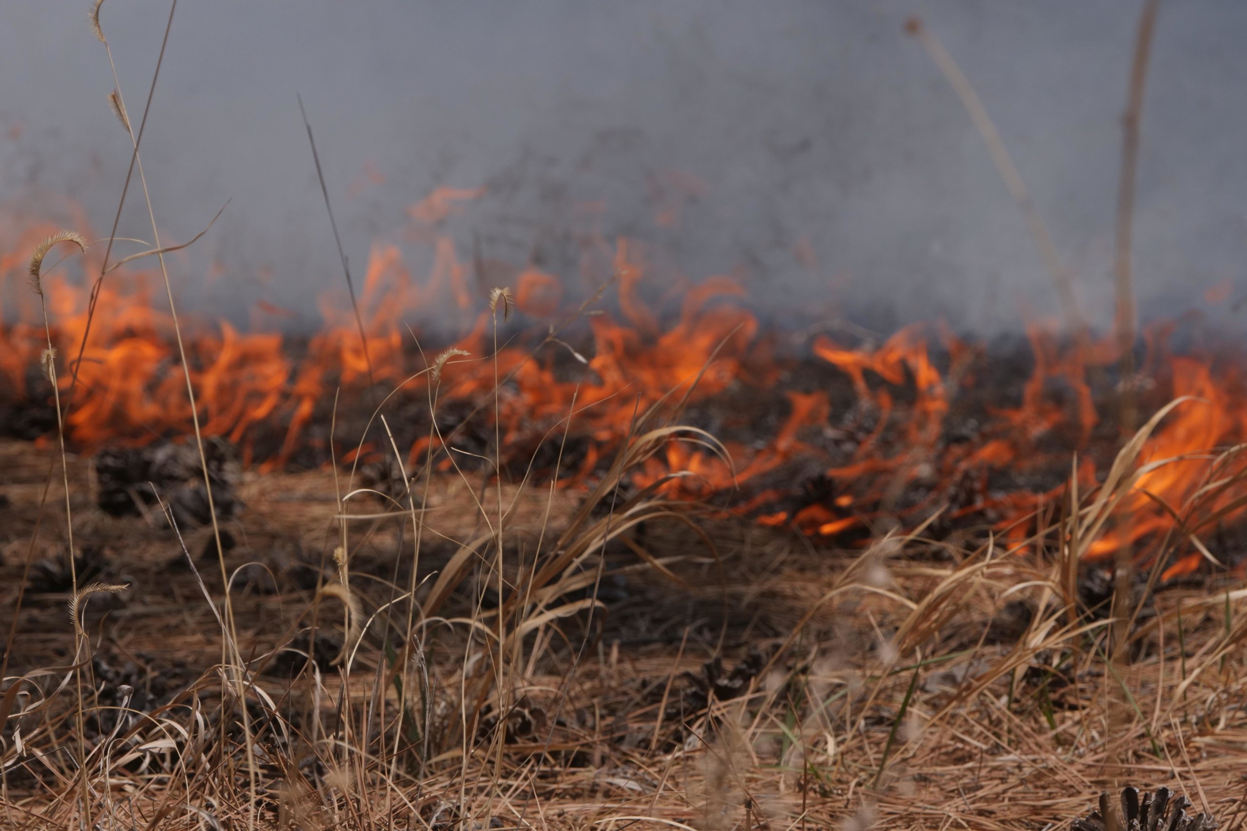 Spring burn ban bill brought off table, amended version passes Senate committee