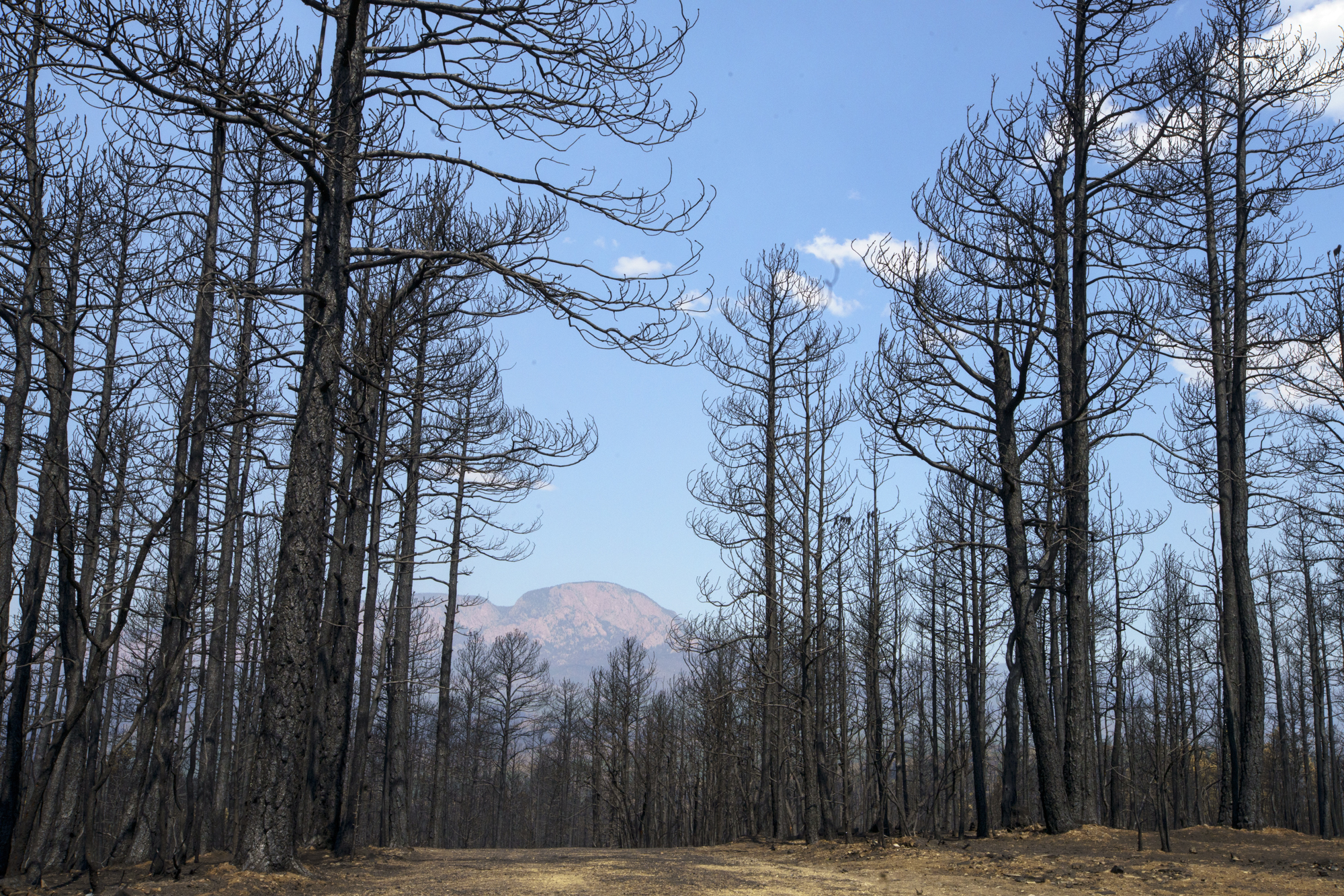 The age of consequence: Wildfires in New Mexico