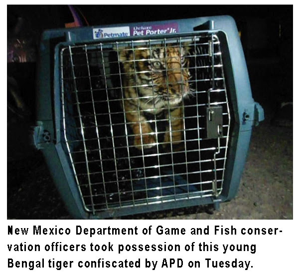 What do New Mexico and federal laws say about owning tigers, other exotic animals?