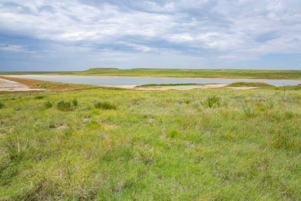 Wildlife refuge expansion reignites land conservation debate in eastern New Mexico