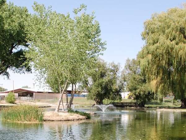 Estancia residents asked to conserve water amid well issues