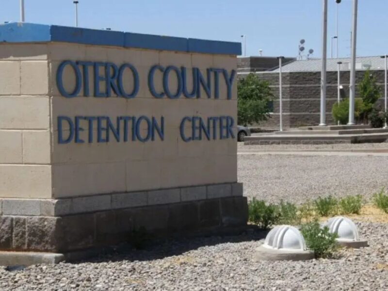 Late Wednesday, U.S. District Judge William P. Johnson of the U.S. District Court of New Mexico granted a petition for a writ of habeas corpus directing the federal government to immediately release 28-year-old Paulo Cesar Gamez Lira from the Otero County Processing Center in Chaparral, where he had been held for 42 days.  