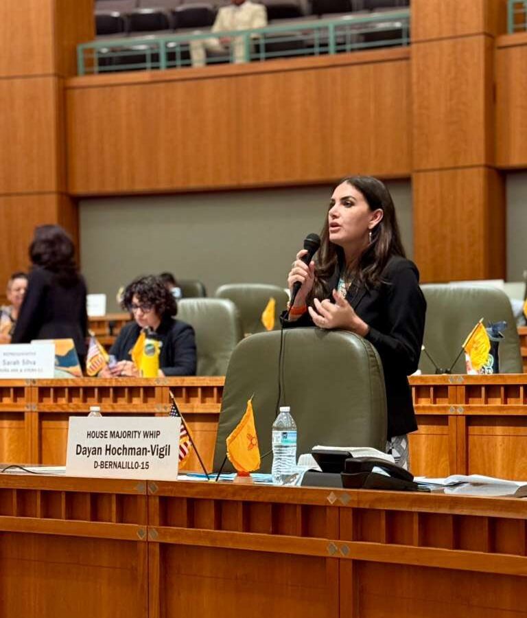 State Rep. Day Hochman-Vigil (D-ABQ)