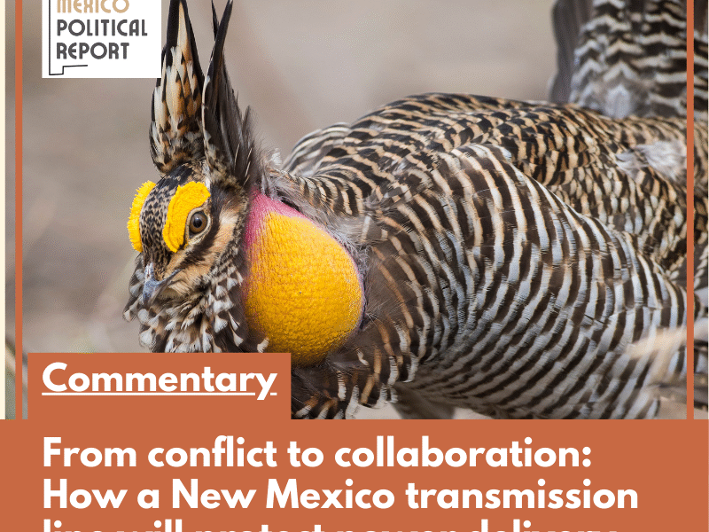 Commentary: From conflict to collaboration — How a New Mexico transmission line will protect power delivery and prairie chickens