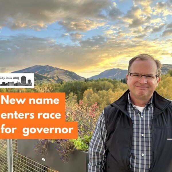 Former energy regulator announces bid for New Mexico governor