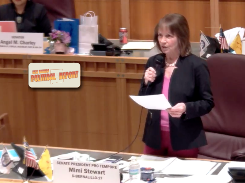 State Senate votes down Clear Horizons Act, opening door for next gov to change state’s climate, enviro policies