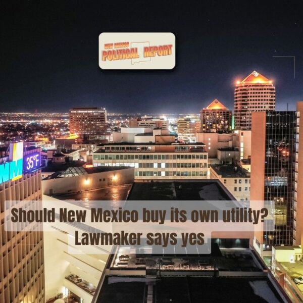 Should New Mexico buy PNM? Lawmaker says yes
