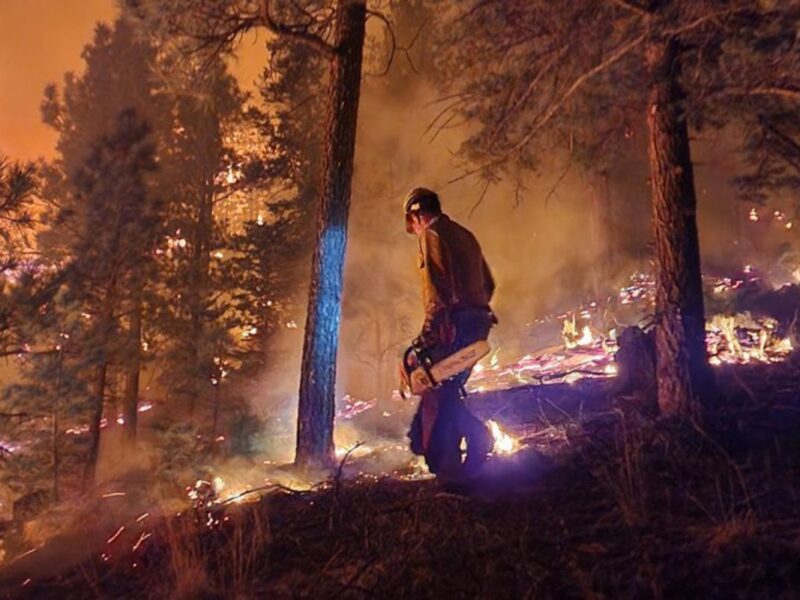 New Mexico wants FEMA to pay for years of wildfire recovery costs