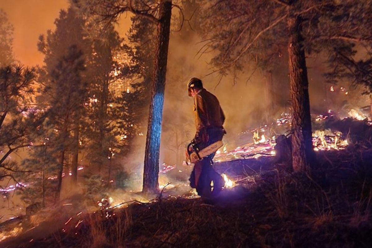 A firefighter works to contain a wildfire. New Mexico is seeking more than $61 million from FEMA for National Guard flood control and debris removal tied to the Hermit’s Peak/Calf Canyon Fire. (Source: U.S. Forest Service)